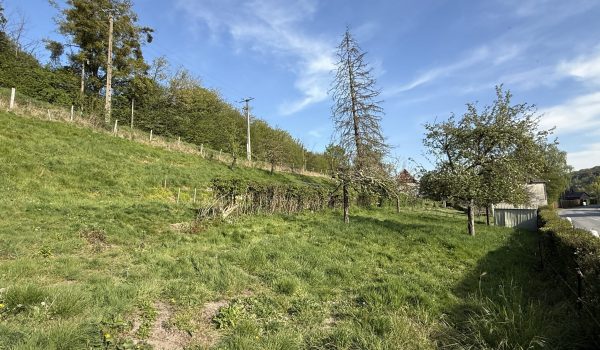 IMG_0819